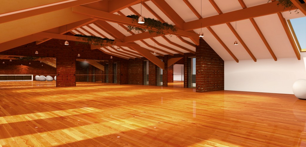 10 Virgil ARDEIU dance hall